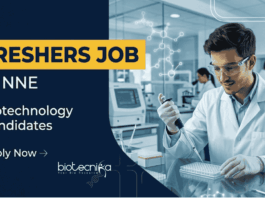 Apply for NNE Careers Trainee Engineer Jobs. Biotechnology Freshers Job in Pharma Industry with Training, Projects & Career growth.