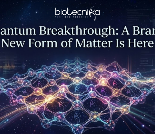 A futuristic featured image titled "Quantum Breakthrough: A Brand-New Form of Matter Is Here." The design features a glowing, complex geometric lattice structure representing a new state of matter, set against a dark cosmic background with stars and subtle scientific diagrams. The Biotecnika logo and tagline "Your Bio Resource" are positioned at the top center.