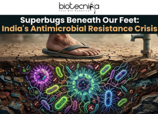 Superbugs Beneath Our Feet: India’s Antimicrobial Resistance Crisis Learn about antimicrobial resistance and its impact on public health as researchers discover superbugs in India’s wastewater.