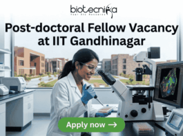 Post-doctoral Fellow Vacancy at IIT Gandhinagar. A sleek featured image for "Post-doctoral Fellow Vacancy at IIT Gandhinagar." It showcases a researcher pipetting samples in a laboratory with a university campus visible through the window. The Biotecnika logo is positioned at the top, with a green "Apply now" button at the bottom.