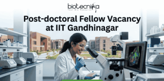 Post-doctoral Fellow Vacancy at IIT Gandhinagar. A sleek featured image for "Post-doctoral Fellow Vacancy at IIT Gandhinagar." It showcases a researcher pipetting samples in a laboratory with a university campus visible through the window. The Biotecnika logo is positioned at the top, with a green "Apply now" button at the bottom.