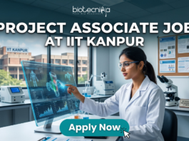 Project Associate Job at IIT Kanpur Life Science Research 2026. A promotional featured image banner for a 'PROJECT ASSOCIATE JOB AT IIT KANPUR', with the 'biotecnika YOUR BIO RESOURCE' logo at the top left. The image depicts a female scientist in a white lab coat and safety glasses, seated at a desk in a modern laboratory. She is interacting with a large, transparent holographic display, showing detailed 3D molecular structures and data visualizations. In the background, there is a large window with a view of the 'IIT KANPUR' campus building, other scientific equipment like microscopes and centrifuges, and a corkboard with certificates. A prominent, clickable 'Apply Now' button with a cursor arrow is located at the bottom center.