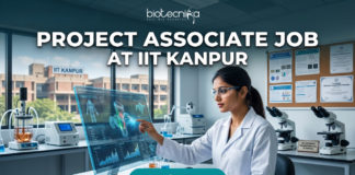 Project Associate Job at IIT Kanpur Life Science Research 2026. A promotional featured image banner for a 'PROJECT ASSOCIATE JOB AT IIT KANPUR', with the 'biotecnika YOUR BIO RESOURCE' logo at the top left. The image depicts a female scientist in a white lab coat and safety glasses, seated at a desk in a modern laboratory. She is interacting with a large, transparent holographic display, showing detailed 3D molecular structures and data visualizations. In the background, there is a large window with a view of the 'IIT KANPUR' campus building, other scientific equipment like microscopes and centrifuges, and a corkboard with certificates. A prominent, clickable 'Apply Now' button with a cursor arrow is located at the bottom center.