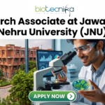 Research Associate Job at JNU Life Science Job 2026. A recruitment banner advertisement for a "Project Associate at Jawaharlal Nehru University (JNU)" position, presented by Biotecnika. At the top center, the Biotecnika "Your Bio Resource" logo is displayed. Below, large black and green text reads, "Project Associate at Jawaharlal Nehru University (JNU)". The main visual at the bottom is a detailed composite photograph blending an extensive, multi-story, red-brick university complex with a modern laboratory setting. In the distance, a sign is visible on a building that reads "IIT KANPUR", creating a text contradiction. On the right, a young woman in a lab coat and safety glasses interacts with a futuristic, transparent table-top display screen showing glowing 3D molecular structures, labeled "DNA STRUCTURE", along with charts and data graphs. In the bottom center, a prominent teal button with a mouse cursor reads "Apply Now", with a small desk plaque next to it that reads "JNU RESEARCH ASSOCIATE PROGRAM". Microscopes and lab equipment are in the background.