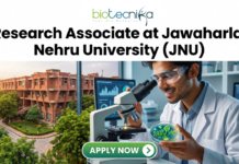 JNU Hiring Now! Research Associate Opportunity for PhD Life Science Candidate Research Associate Job at JNU Life Science Job 2026. A recruitment banner advertisement for a "Project Associate at Jawaharlal Nehru University (JNU)" position, presented by Biotecnika. At the top center, the Biotecnika "Your Bio Resource" logo is displayed. Below, large black and green text reads, "Project Associate at Jawaharlal Nehru University (JNU)". The main visual at the bottom is a detailed composite photograph blending an extensive, multi-story, red-brick university complex with a modern laboratory setting. In the distance, a sign is visible on a building that reads "IIT KANPUR", creating a text contradiction. On the right, a young woman in a lab coat and safety glasses interacts with a futuristic, transparent table-top display screen showing glowing 3D molecular structures, labeled "DNA STRUCTURE", along with charts and data graphs. In the bottom center, a prominent teal button with a mouse cursor reads "Apply Now", with a small desk plaque next to it that reads "JNU RESEARCH ASSOCIATE PROGRAM". Microscopes and lab equipment are in the background.