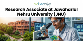 Research Associate Job at JNU Life Science Job 2026. A recruitment banner advertisement for a "Project Associate at Jawaharlal Nehru University (JNU)" position, presented by Biotecnika. At the top center, the Biotecnika "Your Bio Resource" logo is displayed. Below, large black and green text reads, "Project Associate at Jawaharlal Nehru University (JNU)". The main visual at the bottom is a detailed composite photograph blending an extensive, multi-story, red-brick university complex with a modern laboratory setting. In the distance, a sign is visible on a building that reads "IIT KANPUR", creating a text contradiction. On the right, a young woman in a lab coat and safety glasses interacts with a futuristic, transparent table-top display screen showing glowing 3D molecular structures, labeled "DNA STRUCTURE", along with charts and data graphs. In the bottom center, a prominent teal button with a mouse cursor reads "Apply Now", with a small desk plaque next to it that reads "JNU RESEARCH ASSOCIATE PROGRAM". Microscopes and lab equipment are in the background.