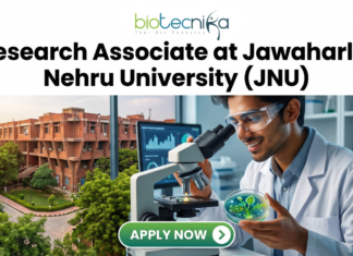 Research Associate Job at JNU Life Science Job 2026. A recruitment banner advertisement for a "Project Associate at Jawaharlal Nehru University (JNU)" position, presented by Biotecnika. At the top center, the Biotecnika "Your Bio Resource" logo is displayed. Below, large black and green text reads, "Project Associate at Jawaharlal Nehru University (JNU)". The main visual at the bottom is a detailed composite photograph blending an extensive, multi-story, red-brick university complex with a modern laboratory setting. In the distance, a sign is visible on a building that reads "IIT KANPUR", creating a text contradiction. On the right, a young woman in a lab coat and safety glasses interacts with a futuristic, transparent table-top display screen showing glowing 3D molecular structures, labeled "DNA STRUCTURE", along with charts and data graphs. In the bottom center, a prominent teal button with a mouse cursor reads "Apply Now", with a small desk plaque next to it that reads "JNU RESEARCH ASSOCIATE PROGRAM". Microscopes and lab equipment are in the background.