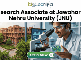 Research Associate Job at JNU Life Science Job 2026. A recruitment banner advertisement for a "Project Associate at Jawaharlal Nehru University (JNU)" position, presented by Biotecnika. At the top center, the Biotecnika "Your Bio Resource" logo is displayed. Below, large black and green text reads, "Project Associate at Jawaharlal Nehru University (JNU)". The main visual at the bottom is a detailed composite photograph blending an extensive, multi-story, red-brick university complex with a modern laboratory setting. In the distance, a sign is visible on a building that reads "IIT KANPUR", creating a text contradiction. On the right, a young woman in a lab coat and safety glasses interacts with a futuristic, transparent table-top display screen showing glowing 3D molecular structures, labeled "DNA STRUCTURE", along with charts and data graphs. In the bottom center, a prominent teal button with a mouse cursor reads "Apply Now", with a small desk plaque next to it that reads "JNU RESEARCH ASSOCIATE PROGRAM". Microscopes and lab equipment are in the background.
