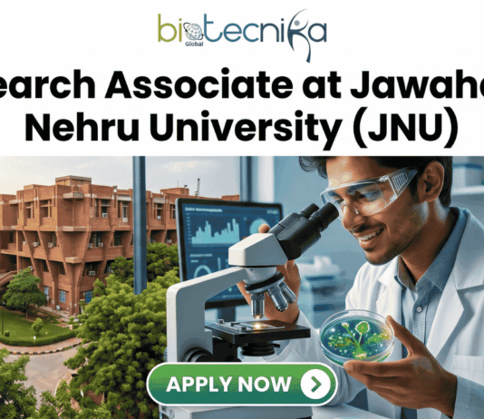 Research Associate Job at JNU Life Science Job 2026. A recruitment banner advertisement for a "Project Associate at Jawaharlal Nehru University (JNU)" position, presented by Biotecnika. At the top center, the Biotecnika "Your Bio Resource" logo is displayed. Below, large black and green text reads, "Project Associate at Jawaharlal Nehru University (JNU)". The main visual at the bottom is a detailed composite photograph blending an extensive, multi-story, red-brick university complex with a modern laboratory setting. In the distance, a sign is visible on a building that reads "IIT KANPUR", creating a text contradiction. On the right, a young woman in a lab coat and safety glasses interacts with a futuristic, transparent table-top display screen showing glowing 3D molecular structures, labeled "DNA STRUCTURE", along with charts and data graphs. In the bottom center, a prominent teal button with a mouse cursor reads "Apply Now", with a small desk plaque next to it that reads "JNU RESEARCH ASSOCIATE PROGRAM". Microscopes and lab equipment are in the background.