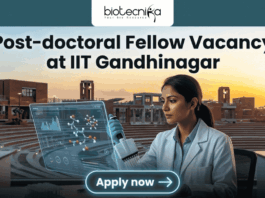 Research Associate Opportunity at IIT Gandhinaga. A featured image with a prominent heading that reads: 'Post-doctoral Fellow Vacancy at IIT Gandhinagar'. The image is divided, showing a modern university campus on the left and a female scientist in a lab coat on the right, pipetting a sample into a multi-well plate. She is interacting with a futuristic, holographic data display. The 'biotecnika Global' logo is at the top center, and a large green 'Apply now' button with an arrow is at the bottom center. The overall style is a clean, professional composite photograph.