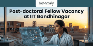 Research Associate Opportunity at IIT Gandhinaga. A featured image with a prominent heading that reads: 'Post-doctoral Fellow Vacancy at IIT Gandhinagar'. The image is divided, showing a modern university campus on the left and a female scientist in a lab coat on the right, pipetting a sample into a multi-well plate. She is interacting with a futuristic, holographic data display. The 'biotecnika Global' logo is at the top center, and a large green 'Apply now' button with an arrow is at the bottom center. The overall style is a clean, professional composite photograph.