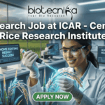 Research Job at ICAR – Central Rice Research Institute | Earn Upto ₹42,000 Salary! A high-quality, realistic featured image for a job posting. At the top center is the Biotecnika logo above the title text: "Research Job at ICAR - Central Rice Research Institute." The central focus is a female scientist in a white lab coat and safety glasses, smiling as she uses a pipette on a grain of rice that glows with a subtle blue light, symbolizing genetic innovation. The modern laboratory features digital monitors—one displaying "GENOME EDITING RESULT - SUCCESS"—and a large window in the background looking out over a vibrant rice paddy field during a golden sunset. At the bottom center, there is a prominent green "APPLY NOW" button.