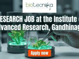 Research Job Alert! Institute of Advanced Research Hiring Research Staff – Apply Before Deadline! Apply for Research Job at Institute of Advanced Research, Gandhinagar. Research Staff role in anticancer drug discovery project. Check eligibility and apply now.