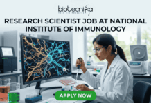 Research Scientist Job at National Institute of Immunology – Cancer Biology Project Hiring Now! "A featured image job banner titled 'RESEARCH SCIENTIST JOB AT NATIONAL INSTITUTE OF IMMUNOLOGY' and featuring the biotecnika 'IMMUNOLOG TECH' logo, depicting a focused Indian female scientist in a lab coat using a pipette while a complex, multi-colored 3D map of immune cell pathways is displayed on her curved monitor, with other high-tech lab equipment in the blurred background and a green 'APPLY NOW' button at the bottom."
