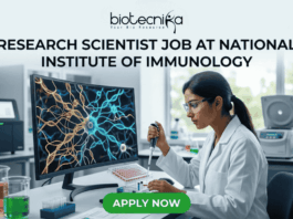 Research Scientist Job at National Institute of Immunology – Cancer Biology Project Hiring Now! "A featured image job banner titled 'RESEARCH SCIENTIST JOB AT NATIONAL INSTITUTE OF IMMUNOLOGY' and featuring the biotecnika 'IMMUNOLOG TECH' logo, depicting a focused Indian female scientist in a lab coat using a pipette while a complex, multi-colored 3D map of immune cell pathways is displayed on her curved monitor, with other high-tech lab equipment in the blurred background and a green 'APPLY NOW' button at the bottom."