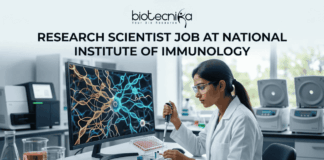 Research Scientist Job at National Institute of Immunology – Cancer Biology Project Hiring Now! "A featured image job banner titled 'RESEARCH SCIENTIST JOB AT NATIONAL INSTITUTE OF IMMUNOLOGY' and featuring the biotecnika 'IMMUNOLOG TECH' logo, depicting a focused Indian female scientist in a lab coat using a pipette while a complex, multi-colored 3D map of immune cell pathways is displayed on her curved monitor, with other high-tech lab equipment in the blurred background and a green 'APPLY NOW' button at the bottom."