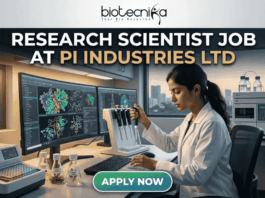 Research Scientist Job at PI Industries Ltd Hyderabad Apply Now. A featured image graphic for a biotechnology research scientist job listing. At the top, the biotecnika "Your Bio Resource" logo is displayed. Below, large bold text in white and gold reads "RESEARCH SCIENTIST JOB AT PI INDUSTRIES LTD". The central image is a realistic photograph of a focused young female Indian scientist in a lab coat, operating a multi-channel pipette station. Her curved multi-monitor setup displays stunning, unique multi-color molecular pathway and docking visualizations. The modern research lab around her includes advanced equipment, tissue cultures, and unique labeled plant samples. Through a large window in the background, a view of an Indian city skyline (like Bengaluru or Ahmedabad) during a warm sunset creates a relatable, scroll-stopping setting. At the bottom center, a rounded gradient green-to-blue "APPLY NOW" button provides a clear call to action. The entire composition is realistic and visually attractive.
