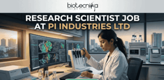 Research Scientist Job at PI Industries Ltd Hyderabad Apply Now. A featured image graphic for a biotechnology research scientist job listing. At the top, the biotecnika "Your Bio Resource" logo is displayed. Below, large bold text in white and gold reads "RESEARCH SCIENTIST JOB AT PI INDUSTRIES LTD". The central image is a realistic photograph of a focused young female Indian scientist in a lab coat, operating a multi-channel pipette station. Her curved multi-monitor setup displays stunning, unique multi-color molecular pathway and docking visualizations. The modern research lab around her includes advanced equipment, tissue cultures, and unique labeled plant samples. Through a large window in the background, a view of an Indian city skyline (like Bengaluru or Ahmedabad) during a warm sunset creates a relatable, scroll-stopping setting. At the bottom center, a rounded gradient green-to-blue "APPLY NOW" button provides a clear call to action. The entire composition is realistic and visually attractive.