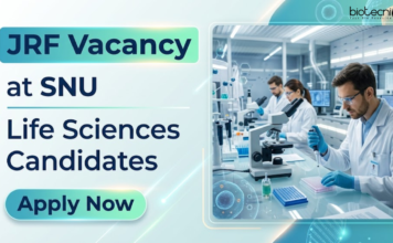 Life Sciences Research Jobs at Shiv Nadar University with Stipend | Apply Now Apply for JRF Vacancy at Shiv Nadar University. Explore Research Jobs and Grow your Life Science Career with funded fellowship roles.