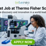Scientist Job at Thermo Fisher Scientific | High-Paying R&D Role. A professional featured image for a "Scientist Job at Thermo Fisher Scientific." The visual shows a female scientist in a white lab coat, smiling and working with a microscope in a high-tech laboratory. In the background, large computer monitors display colorful, high-resolution cellular imaging. The Biotecnika logo is positioned at the top, and a prominent green "APPLY NOW" button is at the bottom center.