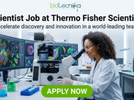 Scientist Job at Thermo Fisher Scientific | High-Paying R&D Role. A professional featured image for a "Scientist Job at Thermo Fisher Scientific." The visual shows a female scientist in a white lab coat, smiling and working with a microscope in a high-tech laboratory. In the background, large computer monitors display colorful, high-resolution cellular imaging. The Biotecnika logo is positioned at the top, and a prominent green "APPLY NOW" button is at the bottom center.