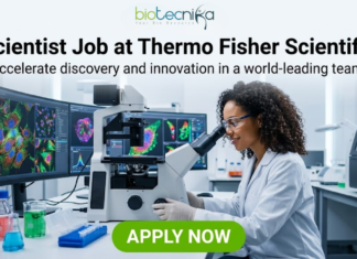 Scientist Job at Thermo Fisher Scientific – High-Paying R&D Role in Bangalore! Scientist Job at Thermo Fisher Scientific | High-Paying R&D Role. A professional featured image for a "Scientist Job at Thermo Fisher Scientific." The visual shows a female scientist in a white lab coat, smiling and working with a microscope in a high-tech laboratory. In the background, large computer monitors display colorful, high-resolution cellular imaging. The Biotecnika logo is positioned at the top, and a prominent green "APPLY NOW" button is at the bottom center.