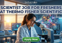 Scientist Job for Freshers at Thermo Fisher Scientific – Cell Biology Role in Bangalore! Scientist Job for Freshers at Thermo Fisher Scientific Apply Now. A recruitment advertisement image shows a female scientist in a lab coat smiling while looking into a microscope, from which a complex, colorful holographic neural network projection emerges. Overlaid text at the top reads, "SCIENTIST JOB FOR FRESHERS AT THERMO FISHER SCIENTIFIC" with the "biotecnika" logo above it. A green "Apply Now" button is at the bottom center.