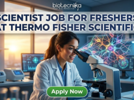 Scientist Job for Freshers at Thermo Fisher Scientific Apply Now. A recruitment advertisement image shows a female scientist in a lab coat smiling while looking into a microscope, from which a complex, colorful holographic neural network projection emerges. Overlaid text at the top reads, "SCIENTIST JOB FOR FRESHERS AT THERMO FISHER SCIENTIFIC" with the "biotecnika" logo above it. A green "Apply Now" button is at the bottom center.