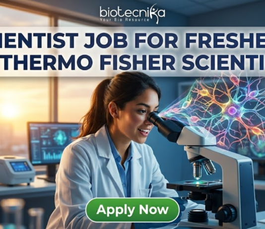 Scientist Job for Freshers at Thermo Fisher Scientific Apply Now. A recruitment advertisement image shows a female scientist in a lab coat smiling while looking into a microscope, from which a complex, colorful holographic neural network projection emerges. Overlaid text at the top reads, "SCIENTIST JOB FOR FRESHERS AT THERMO FISHER SCIENTIFIC" with the "biotecnika" logo above it. A green "Apply Now" button is at the bottom center.