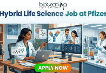 Top Hybrid Life Science Job at Pfizer | Apply Now Before Deadline! Top Hybrid Life Science Job at Pfizer Apply Now Before Deadline! Biotecnika job advertisement illustration for a 'Hybrid Life Science Job at Pfizer,' split into a home office/podcast studio and a biology lab. Text at the top reads, 'Biotecnika Your Bio Resource' and 'Hybrid Life Science Job at Pfizer | Shape the Future of Health | Combine Lab Innovation with Flexibility.' On the left, a woman of color with dark hair at a desk with a laptop points at a monitor displaying molecular structures and a video call with two male scientists. On the right, a woman of color with dark hair works in a lab with glass bioreactors and a microscope, surrounded by molecular models and a 'Pfizer' logo text block. A large green 'APPLY NOW' button is at the bottom center.