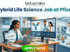 Top Hybrid Life Science Job at Pfizer | Apply Now Before Deadline! Top Hybrid Life Science Job at Pfizer Apply Now Before Deadline! Biotecnika job advertisement illustration for a 'Hybrid Life Science Job at Pfizer,' split into a home office/podcast studio and a biology lab. Text at the top reads, 'Biotecnika Your Bio Resource' and 'Hybrid Life Science Job at Pfizer | Shape the Future of Health | Combine Lab Innovation with Flexibility.' On the left, a woman of color with dark hair at a desk with a laptop points at a monitor displaying molecular structures and a video call with two male scientists. On the right, a woman of color with dark hair works in a lab with glass bioreactors and a microscope, surrounded by molecular models and a 'Pfizer' logo text block. A large green 'APPLY NOW' button is at the bottom center.