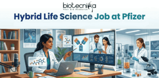 Top Hybrid Life Science Job at Pfizer | Apply Now Before Deadline! Top Hybrid Life Science Job at Pfizer Apply Now Before Deadline! Biotecnika job advertisement illustration for a 'Hybrid Life Science Job at Pfizer,' split into a home office/podcast studio and a biology lab. Text at the top reads, 'Biotecnika Your Bio Resource' and 'Hybrid Life Science Job at Pfizer | Shape the Future of Health | Combine Lab Innovation with Flexibility.' On the left, a woman of color with dark hair at a desk with a laptop points at a monitor displaying molecular structures and a video call with two male scientists. On the right, a woman of color with dark hair works in a lab with glass bioreactors and a microscope, surrounded by molecular models and a 'Pfizer' logo text block. A large green 'APPLY NOW' button is at the bottom center.