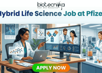 Top Hybrid Life Science Job at Pfizer | Apply Now Before Deadline! Top Hybrid Life Science Job at Pfizer Apply Now Before Deadline! Biotecnika job advertisement illustration for a 'Hybrid Life Science Job at Pfizer,' split into a home office/podcast studio and a biology lab. Text at the top reads, 'Biotecnika Your Bio Resource' and 'Hybrid Life Science Job at Pfizer | Shape the Future of Health | Combine Lab Innovation with Flexibility.' On the left, a woman of color with dark hair at a desk with a laptop points at a monitor displaying molecular structures and a video call with two male scientists. On the right, a woman of color with dark hair works in a lab with glass bioreactors and a microscope, surrounded by molecular models and a 'Pfizer' logo text block. A large green 'APPLY NOW' button is at the bottom center.