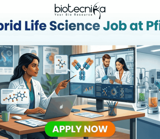 Top Hybrid Life Science Job at Pfizer Apply Now Before Deadline! Biotecnika job advertisement illustration for a 'Hybrid Life Science Job at Pfizer,' split into a home office/podcast studio and a biology lab. Text at the top reads, 'Biotecnika Your Bio Resource' and 'Hybrid Life Science Job at Pfizer | Shape the Future of Health | Combine Lab Innovation with Flexibility.' On the left, a woman of color with dark hair at a desk with a laptop points at a monitor displaying molecular structures and a video call with two male scientists. On the right, a woman of color with dark hair works in a lab with glass bioreactors and a microscope, surrounded by molecular models and a 'Pfizer' logo text block. A large green 'APPLY NOW' button is at the bottom center.