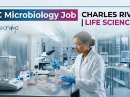 Facilities Coordinator Job at Charles River | QC Microbiology Career Opportunity QC Microbiology Job at Charles River | Life Science Grads Apply