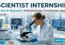 Scientist Internship – Microbiology | MSc Microbiology Vacancy at Gut & Beyond Scientist Internship at Gut & Beyond | Microbiology Graduate Apply