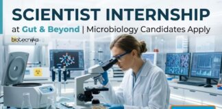 Scientist Internship – Microbiology | MSc Microbiology Vacancy at Gut & Beyond Scientist Internship at Gut & Beyond | Microbiology Graduate Apply