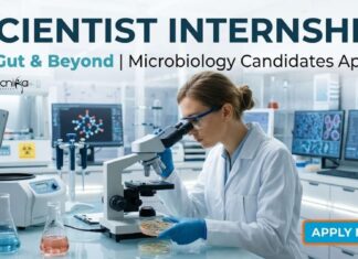 Scientist Internship – Microbiology | MSc Microbiology Vacancy at Gut & Beyond Scientist Internship at Gut & Beyond | Microbiology Graduate Apply