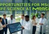 Jobs for MSc Life Science at Merck | Candidates Apply Now