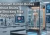 Lab-Grown Human Bodies Without Brains? The Shocking Rise of ‘Bodyoids’ Lab-Grown Human Bodies Without Brains? The Shocking Rise of ‘Bodyoids’