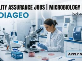 Quality Assurance Jobs at Diageo | Microbiology Role | Apply Now