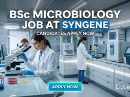 BSc Microbiology Job Alert: QC Microbiology Analyst at Syngene Careers BSc Microbiology Job at Syngene | Candidates Apply Now