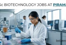Piramal Pharma Hiring Senior Research Associate – In-Vitro | MSc Biotechnology Jobs MSc Biotechnology Jobs at Piramal | Biotechnology Role | Apply