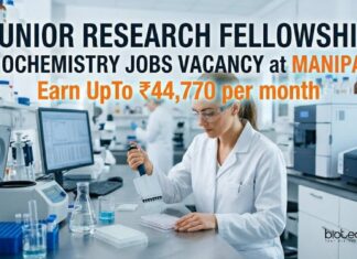 Junior Research Fellowship at Manipal Academy of Higher Education – Biochemistry Jobs Opportunity | Earn UpTo ₹44,770 per month. Junior Research Fellowship at Manipal | Biochemistry Jobs