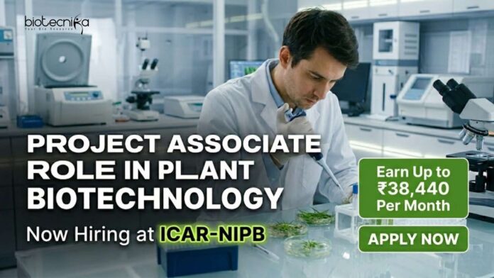 Plant Biotechnology Jobs at ICAR-NIPB | Project Associate Role Plant Biotechnology Jobs at ICAR-NIPB | Project Associate Role