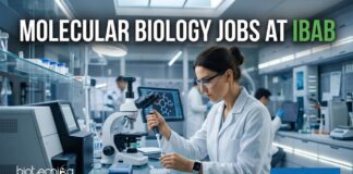 IBAB Careers 2026: Molecular Biology & Bioinformatics Jobs – Apply Now! Molecular Biology Jobs at IBAB | Candidates Apply Now