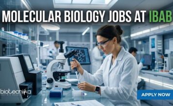IBAB Careers 2026: Molecular Biology & Bioinformatics Jobs – Apply Now! Molecular Biology Jobs at IBAB | Candidates Apply Now