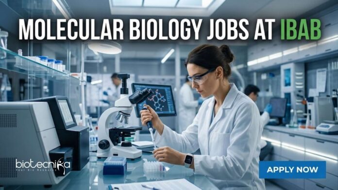 Molecular Biology Jobs at IBAB | Candidates Apply Now Molecular Biology Jobs at IBAB | Candidates Apply Now