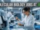 IBAB Careers 2026: Molecular Biology & Bioinformatics Jobs – Apply Now! Molecular Biology Jobs at IBAB | Candidates Apply Now