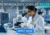 Microbiology Jobs at Pfizer | Candidates Apply Now